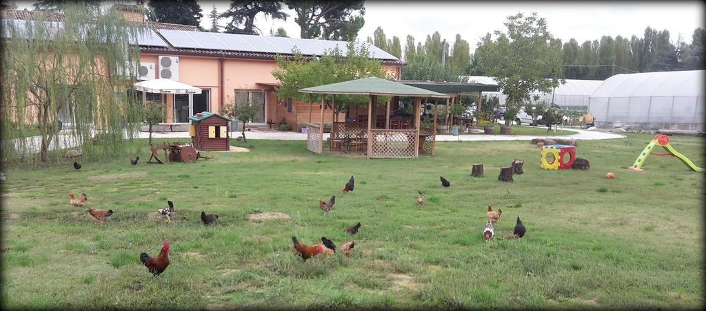Bed and Breakfast Agriturismo Perugini Cesena Exterior foto